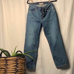 Everlane the high rise Straight Jean